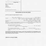 11 Benefits Of Colorado Beneficiary Deed | Form Information   Free Printable Beneficiary Deed