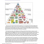 18 Free Esl Food Pyramid Worksheets   Free Printable Food Pyramid