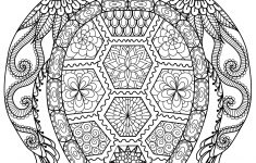 20 Gorgeous Free Printable Adult Coloring Pages … | Adult Coloring - Free Printable Mandala Coloring Pages For Adults
