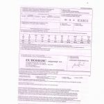 25 Business Card Template Pdf   Californiaenergynews   Free Printable Business Card Templates Pdf