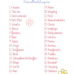 35+ The Best Spring Preschool Themes And Lesson Plans   Natural   Free Printable Preschool Lesson Plans