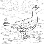 Alaska State Bird Coloring Page | Free Printable Coloring Pages   Free Printable Pictures Of Alaska
