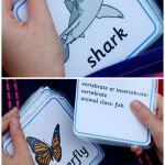 Animal Classification Cards | Chapter 1 Classifying Plants And   Free Printable Animal Classification Cards