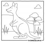Australian Animals Colouring Pages | Brisbane Kids   Free Printable Australian Animals