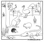 Australian Animals Colouring Pages | Brisbane Kids   Free Printable Australian Animals