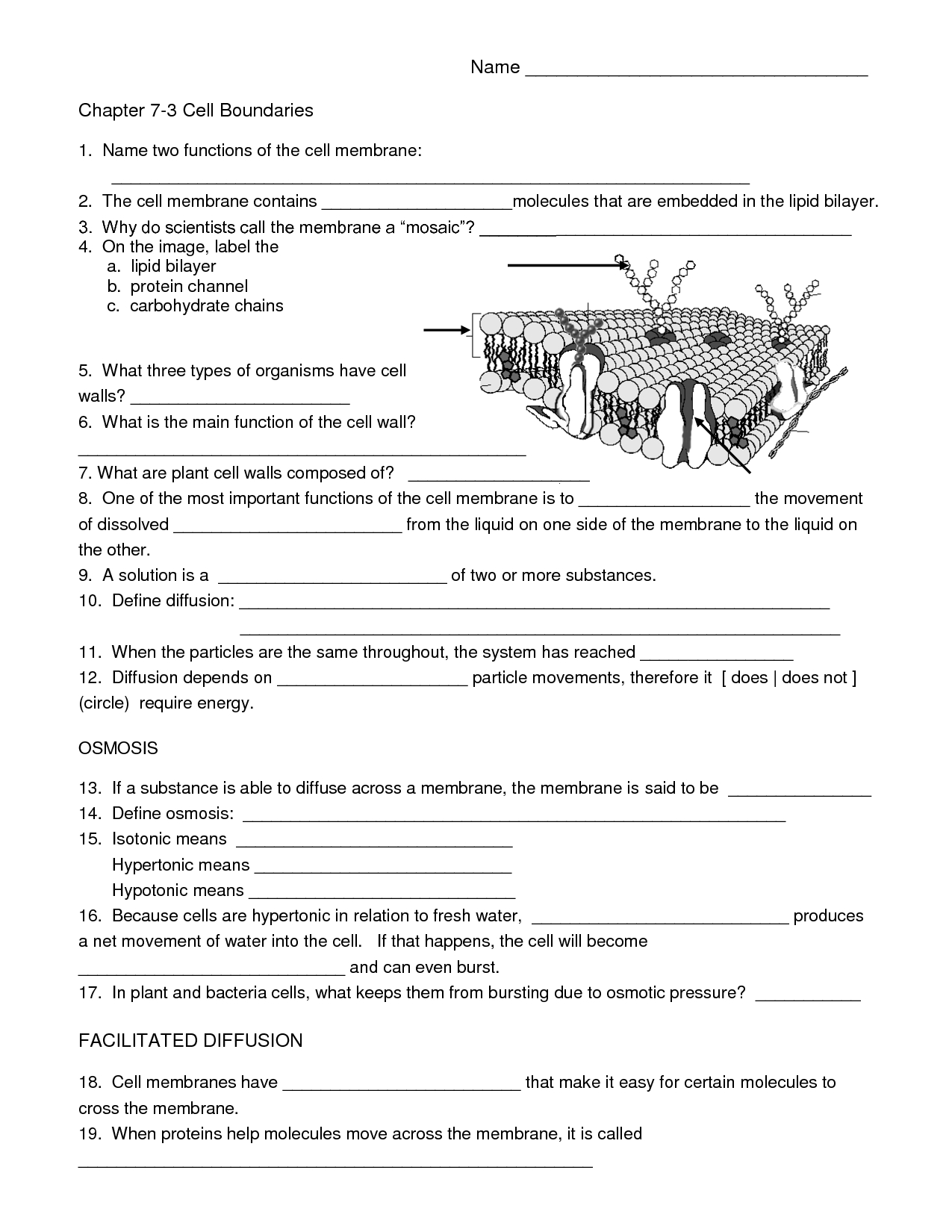 Biology Cell Worksheets | Carpe Diem Science | Pinterest - Free Printable Biology Worksheets For High School