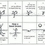 Coloring Pages : Coloring Pages Mainstream Printable Pictures Of   Free Printable Mini Books