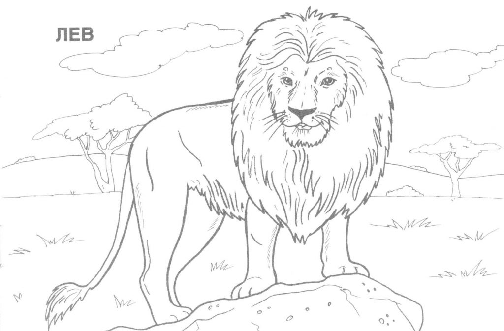 Coloring:coloring Pages Hard Animals Printable Adult Coloring Pages - Free Printable Wild Animal ...
