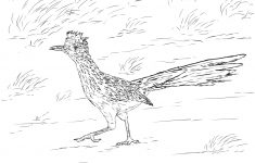 Desert Animals Coloring Pages | Free Printable Pictures - Free Printable Desert Animals