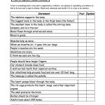 Fact Or Opinion? Human Anatomy, A Worksheet. Enchantedlearning   Free Printable Human Anatomy Worksheets