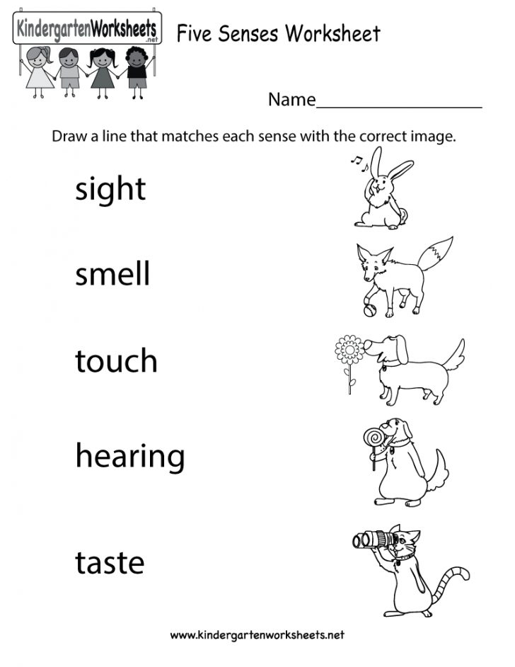 Five Senses Worksheet - Free Kindergarten Learning Worksheet For Kids ...