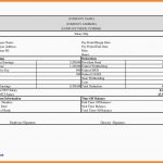 Free Blank Pay Stub Template Downloads.free Payroll Check Stub   Free Printable Check Stubs Download