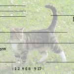 Free Clipart N Images: Printable Pretend Checks For Kids   Free Printable Play Checks