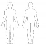 Free Human Body Outline Printable, Download Free Clip Art, Free Clip   Free Printable Human Body Template
