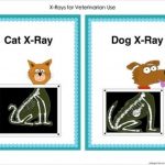 Free Printable Animal X Rays | Free Printable   Free Printable Animal X Rays