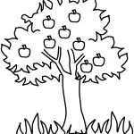 Free Printable Apple Coloring Pages For Kids | For The Kids   Tree Coloring Pages Free Printable