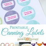 Free Printable Canning Labels   Free Printable Jam Labels