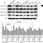 Free Printable Ged Flashcards | Www.topsimages   Free Printable Ged Flashcards