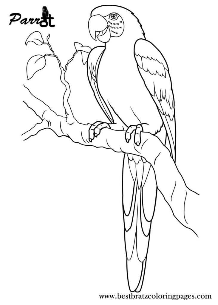 Free Printable Parrot Coloring Pages For Kids | Coloring Pages - Free Printable Parrot Coloring ...