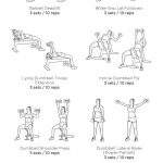 Full Body Workout: My Custom Printable Workout@workoutlabs   Free Printable Gym Workout Routines