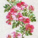 Horse. Free Cross Stitch Pattern | Better Cross Stitch   Cross Stitch Patterns Free Printable