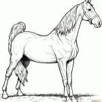 Horses Coloring Pages | Free Coloring Pages   Free Printable Horse Coloring Pages