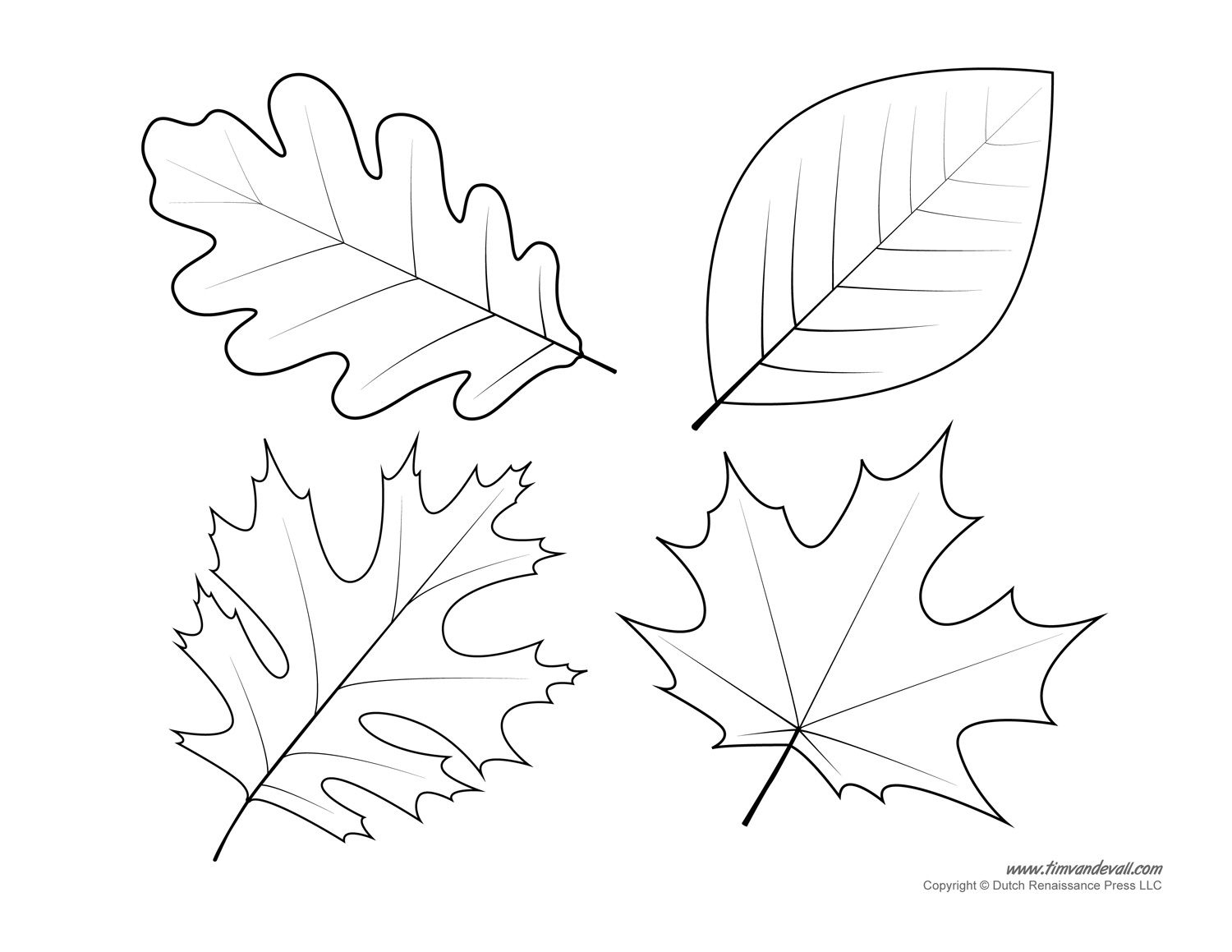 Leaf Templates &amp;amp; Leaf Coloring Pages For Kids | Leaf Printables - Free Printable Leaf Template