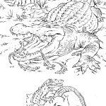 Realistic Animal Coloring Pages Advanced Coloring Pages Difficult   Free Printable Realistic Animal Coloring Pages