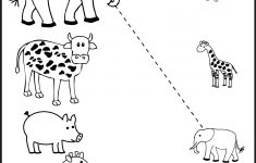 Free Printable Preschool Worksheets