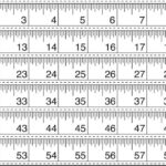 10 Sets Of Free, Printable Rulers When You Need One Fast   Free Printable 6 Inch Rulers
