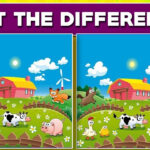 11 Best Spot The Difference Puzzles To Test Your Visual Perception   Spot The Difference For Kids