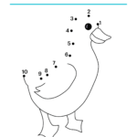 7 Kindergarten Math Worksheets To Print At Home   Free Printable Activities For Kindergarten Math