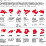 Chinese Zodiac Calendar Free Printable | Chinese Zodiac, Zodiac   Free Printable Chinese Zodiac Signs