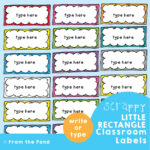Classroom Labels To Organize Your Classroom Equipment. — From The Pond   Free Editable Printable Labels For Teachers