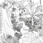 Coloring Pages Archives | Rainforest Alliance   Free Printable Rainforest Pictures