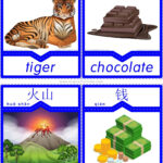 English For Kids Stepstep: 700+ English Chinese Flashcards   Free Printable Mandarin Flashcards