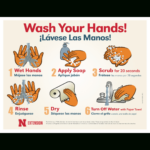 Handwashing Posters | Unl Food   Free Printable Handwashing Signs