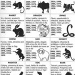 Incredible Chinese Zodiac Traits And Characteristics Printable   Free Printable Chinese Zodiac Signs