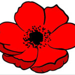 Printable Poppy   Rooftop Post Printables   Free Printable Poppy Images