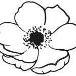 Printable Poppy To Colour In   Rooftop Post Printables   Free Printable Poppy Images