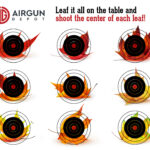 Printable Targets | Airgun Depot   Best Free Printable Targets