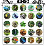 Rainforest Free Printable Bingo Cards   Precision Printables   Free Printable Rainforest Pictures
