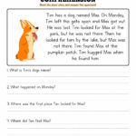 Short Story With Questions 2Nd Grade Reading Comprehension   Printable Short Stories
