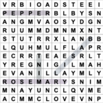 Word Search Maker   Free Online Printable Word Search Puzzle Maker