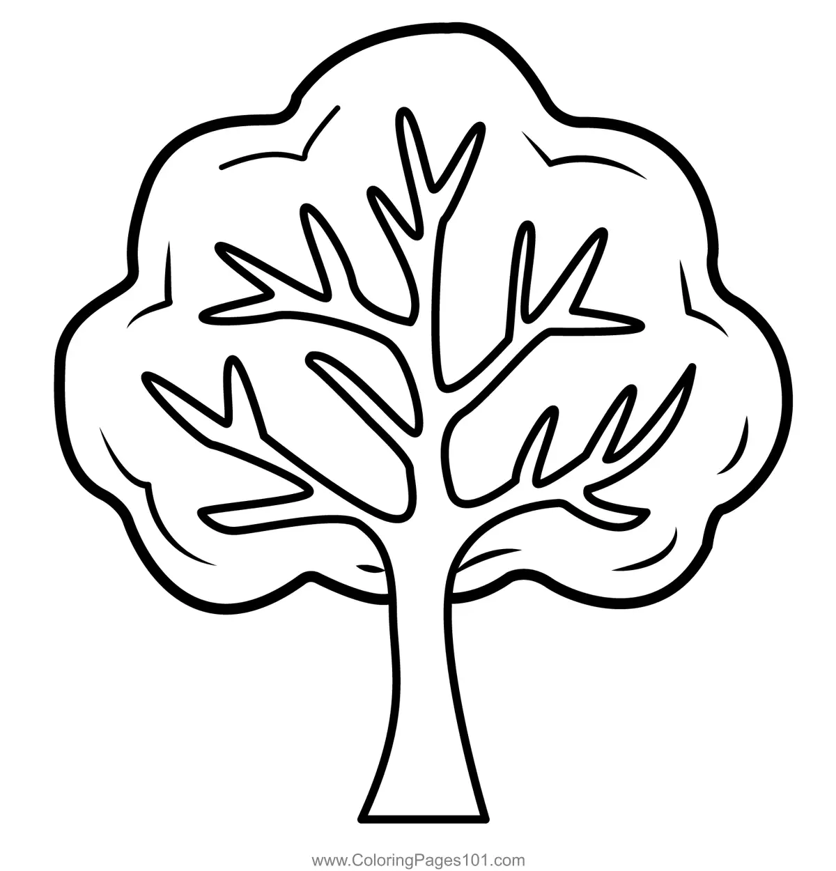 104284 Simple Big Green Tree Coloring Page 104284 Simple Big Green Tree Coloring Page