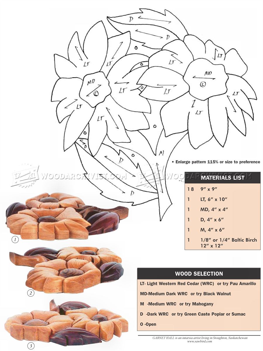3243 Flowers Intarsia Patterns
