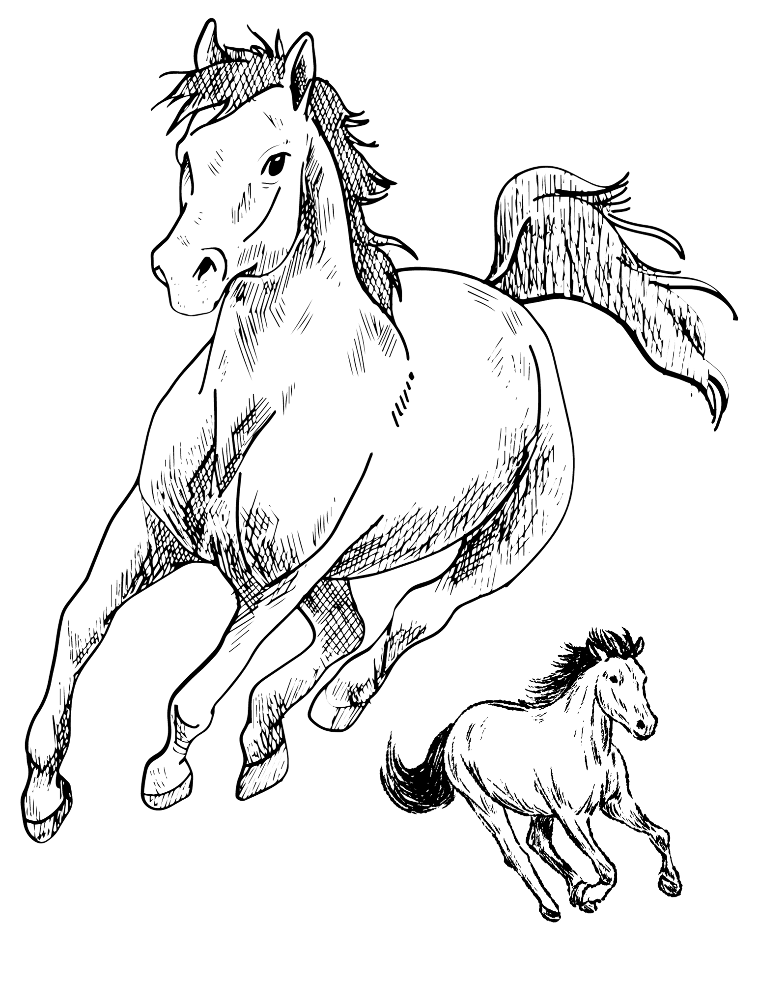 9 Free Printable Horse Coloring Pages 9 Free Printable Horse Coloring Pages