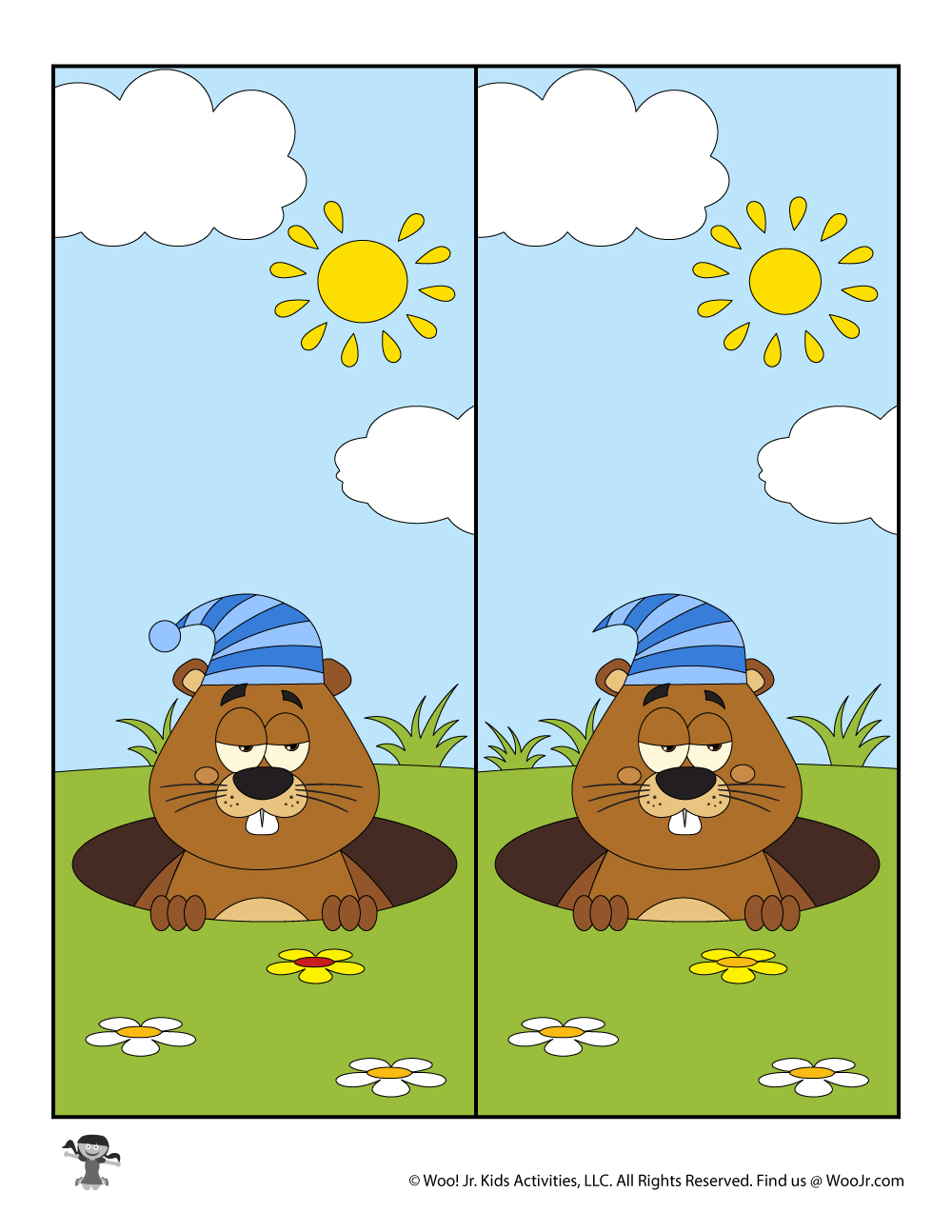Animal Find The Difference Activities