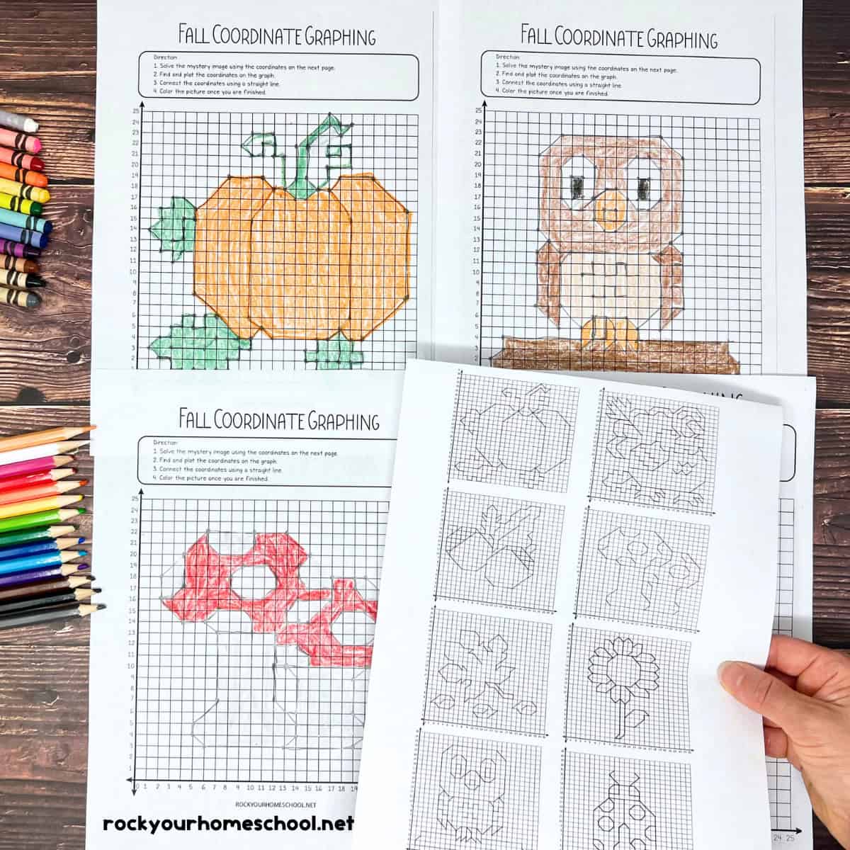 Coordinate Graphing Pictures Coordinate Graphing Pictures