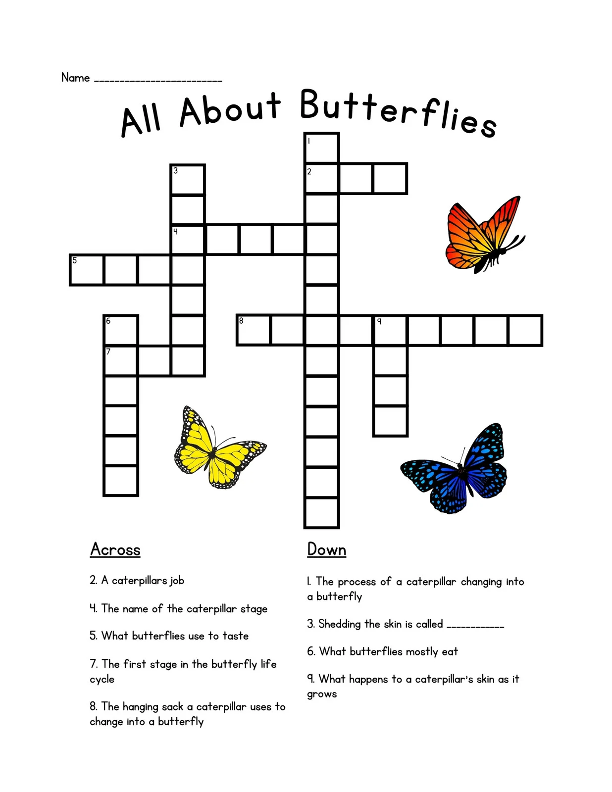 Crossword Puzzle Crossword Puzzle